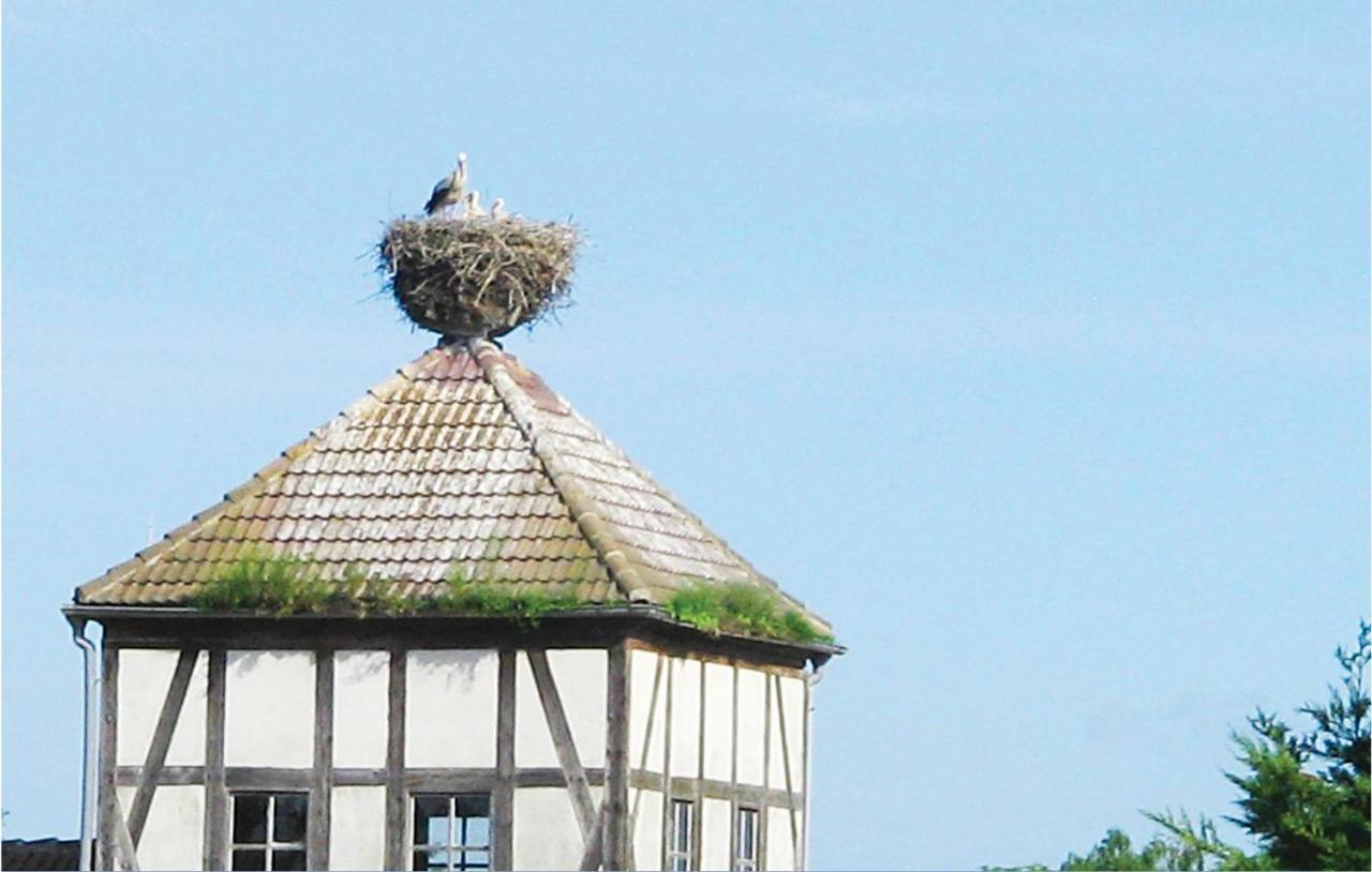 Herrenhaus Luebbenow Kültér fotó